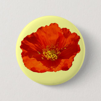 Alaskan Red Poppy Colorful Flower Button