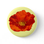 Alaskan Red Poppy Colorful Flower Button