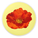 Alaskan Red Poppy Colorful Flower Ceramic Knob