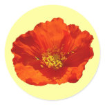 Alaskan Red Poppy Colorful Flower Classic Round Sticker