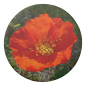 Alaskan Red Poppy Colorful Flower Eraser (Front)