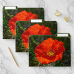 Alaskan Red Poppy Colorful Flower File Folder
