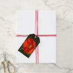 Alaskan Red Poppy Colorful Flower Gift Tags