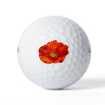 Alaskan Red Poppy Colorful Flower Golf Balls