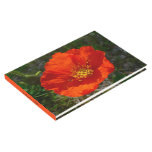 Alaskan Red Poppy Colorful Flower Guest Book