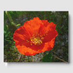 Alaskan Red Poppy Colorful Flower Guest Book
