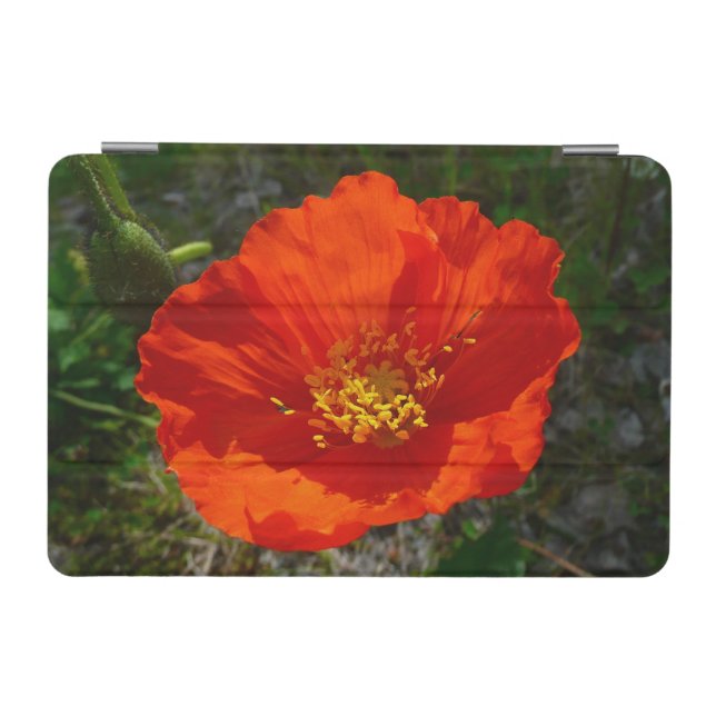 Alaskan Red Poppy Colorful Flower iPad Mini Cover (Horizontal)