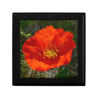Alaskan Red Poppy Colorful Flower Jewelry Box