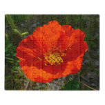 Alaskan Red Poppy Colorful Flower Jigsaw Puzzle