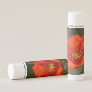 Alaskan Red Poppy Colorful Flower Lip Balm