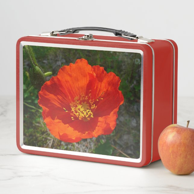 Alaskan Red Poppy Colorful Flower Metal Lunch Box (In Situ)