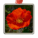 Alaskan Red Poppy Colorful Flower Metal Ornament
