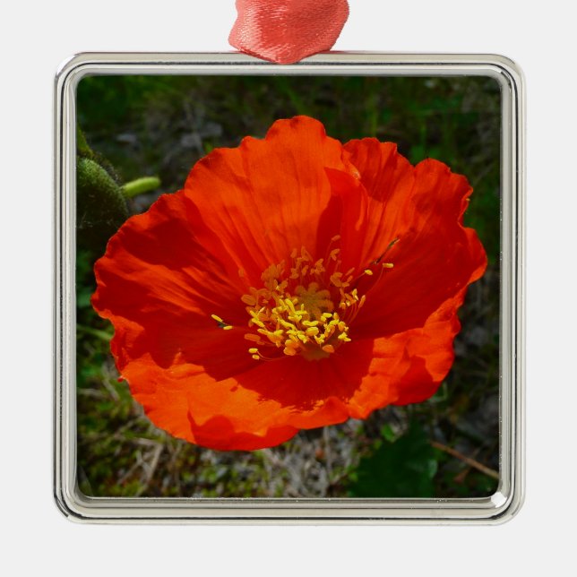 Alaskan Red Poppy Colorful Flower Metal Ornament (Front)