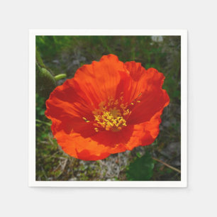 Alaskan Red Poppy Colorful Flower Paper Napkins