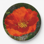 Alaskan Red Poppy Colorful Flower Paper Plates