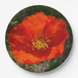 Alaskan Red Poppy Colorful Flower Paper Plates