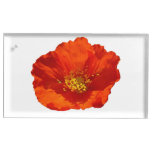 Alaskan Red Poppy Colorful Flower Place Card Holder