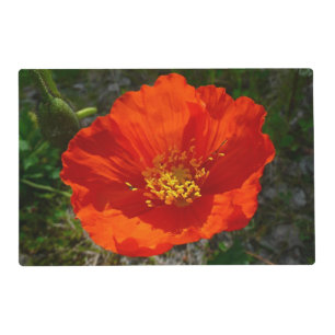 Alaskan Red Poppy Colorful Flower Placemat