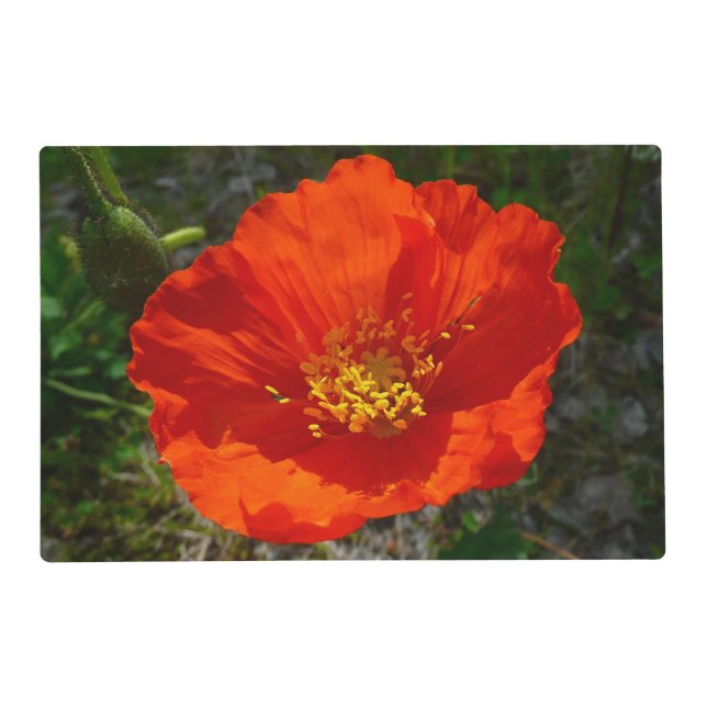 Alaskan Red Poppy Colorful Flower Placemat (Front)