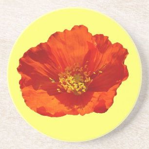 Alaskan Red Poppy Colorful Flower Sandstone Coaster