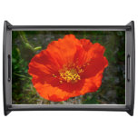 Alaskan Red Poppy Colorful Flower Serving Tray
