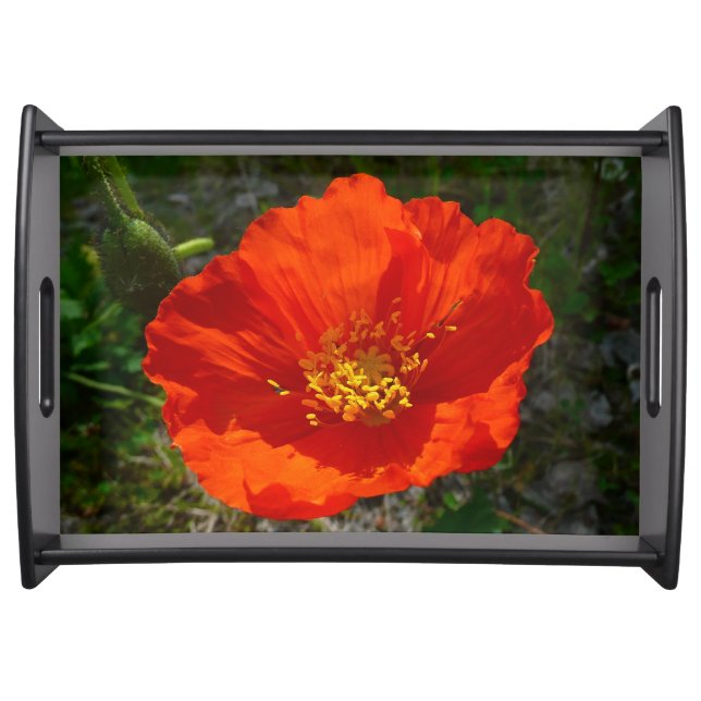 Alaskan Red Poppy Colorful Flower Serving Tray (Front)