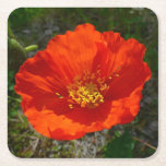 Alaskan Red Poppy Colorful Flower Square Paper Coaster