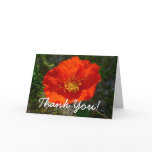 Alaskan Red Poppy Colorful Flower Thank You Card