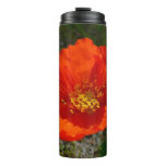Alaskan Red Poppy Colorful Flower Thermal Tumbler