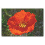 Alaskan Red Poppy Colorful Flower Tissue Paper