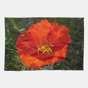 Alaskan Red Poppy Colorful Flower Towel
