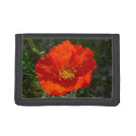 Alaskan Red Poppy Colorful Flower Trifold Wallet