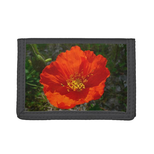 Alaskan Red Poppy Colorful Flower Trifold Wallet (Front)
