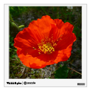 Alaskan Red Poppy Colorful Flower Wall Decal