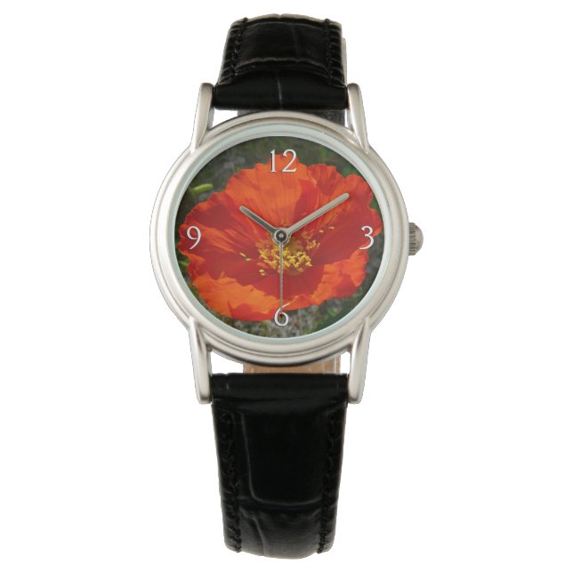 Alaskan Red Poppy Colorful Flower Watch (Front)