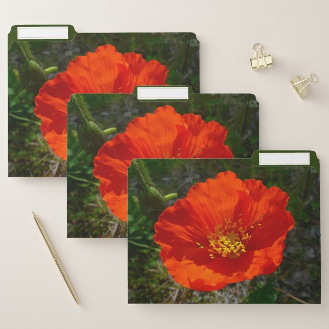 Alaskan Red Poppy File Folder (Set)
