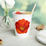 Alaskan Red Poppy Paper Cups
