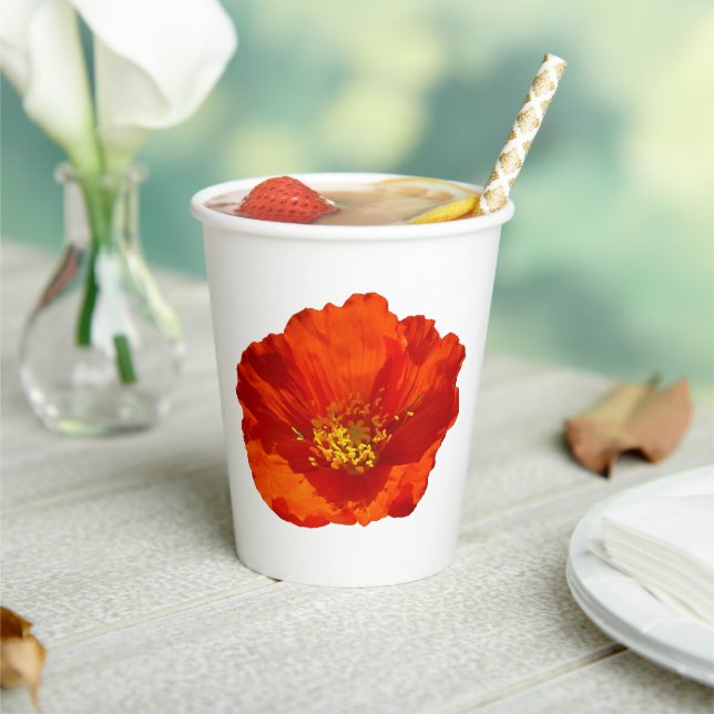 Alaskan Red Poppy Paper Cups (Insitu)