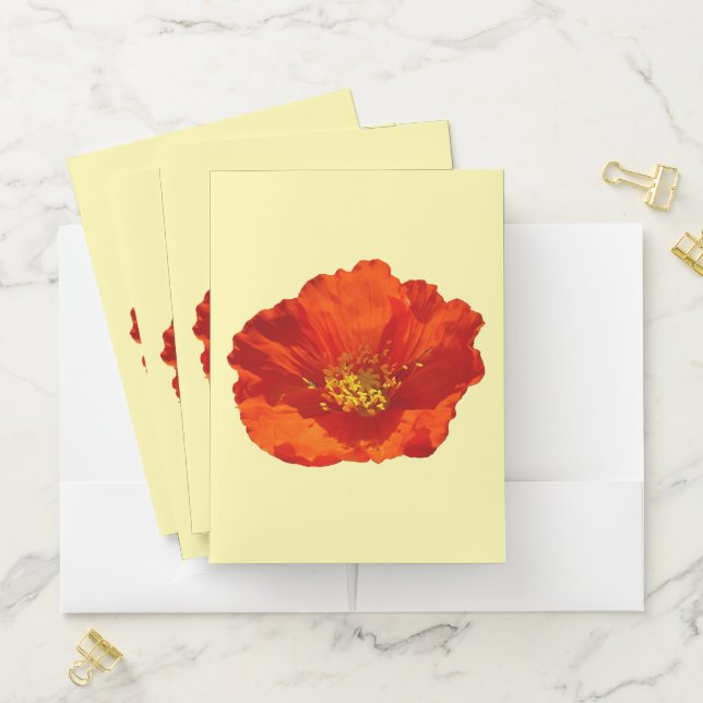 Alaskan Red Poppy Pocket Folder (In Situ)