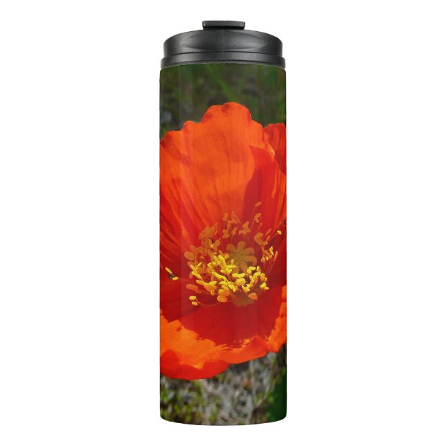 Alaskan Red Poppy Thermal Tumbler (Front)