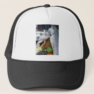 Alaskan Salmon Buffet Trucker Hat