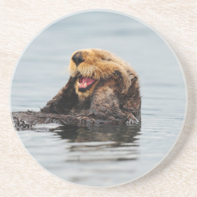 Alaskan Sea Otter Drink Coaster (Front)