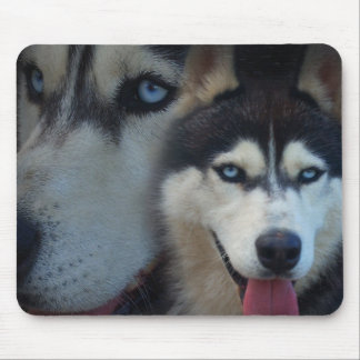 Alaskan Sled Dog - Husky Mouse Pad
