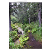 Alaskan Stream (Front)