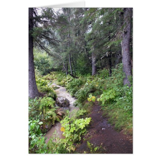 Alaskan Stream Cards (Front)