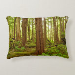 Alaskan Temperate Rainforest Accent Pillow