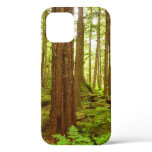 Alaskan Temperate Rainforest iPhone 12 Case