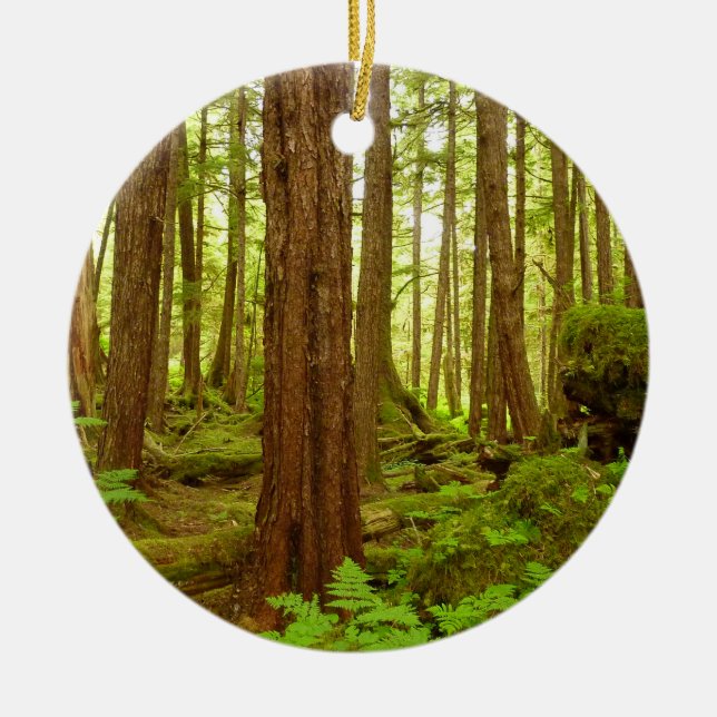 Alaskan Temperate Rainforest Ceramic Ornament (Front)