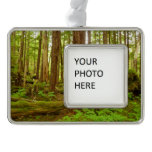 Alaskan Temperate Rainforest Christmas Ornament