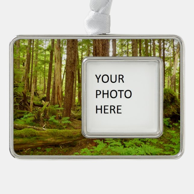 Alaskan Temperate Rainforest Christmas Ornament (Front)